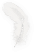 fusion-feather a
