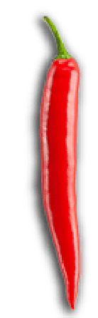 fusion-pepper-1-01
